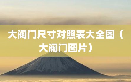 大阀门尺寸对照表大全图（大阀门图片）