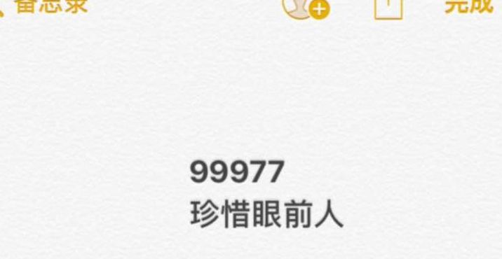 99977是什么意思（九键99977是什么意思）