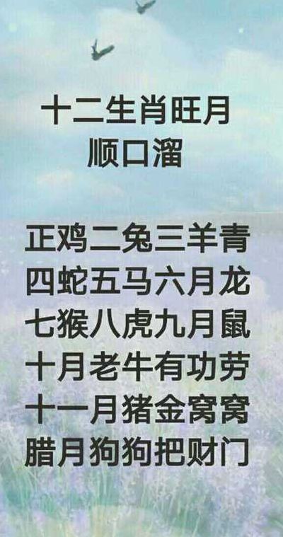 满面红光代表什么生肖（满面红光代表什么生肖正确答案）