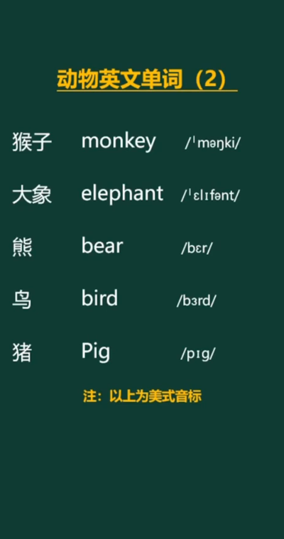 大象的英文怎么读（大象的英文怎么读怎么写）