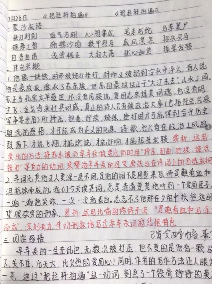 把栏杆拍遍（把栏杆拍遍读书笔记摘抄）