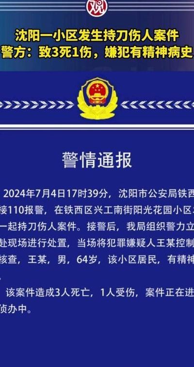 沈阳警方通报伤人案（沈阳警方通报伤人案情）