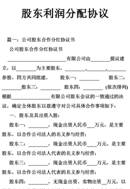 利润分配方案（股东利润分配方案）