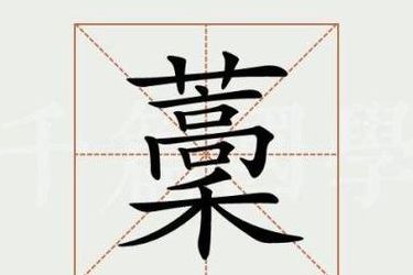 草字头加高加木（草字头加高加木的拼音）