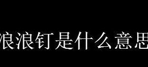 浪浪钉是什么意思（浪浪钉啥意思）