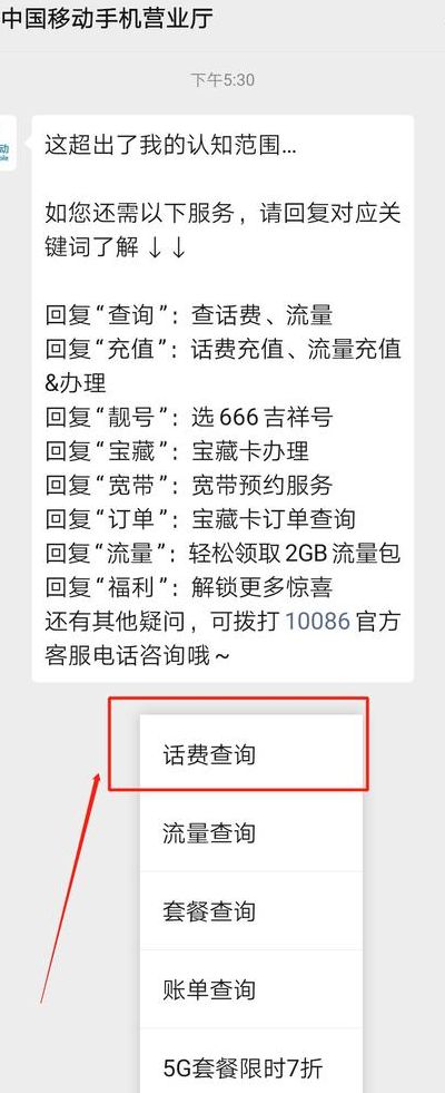 吉林移动网上营业厅话费查询（吉林移动网上营业厅话费查询号码）