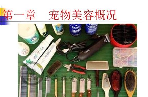 宠物美容工具（宠物美容工具介绍）