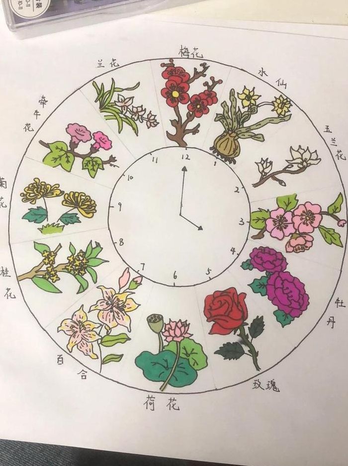 花钟图片（花钟图片大全简笔画）