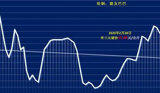 全国生猪价格（全国生猪价格行情走势）