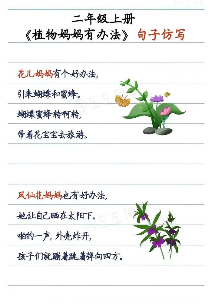 小学二年级植物传播种子的方法（小学二年级植物传播种子的方法的成语）