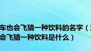 汽车会飞猜一种饮料（汽车会飞猜一种饮料闪耀暖暖）