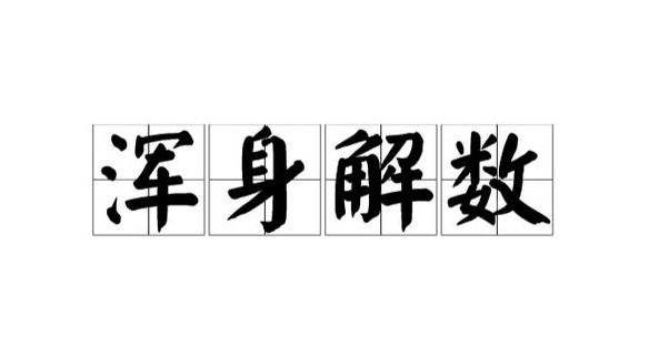 使出浑身解数（使出浑身解数怎么写）