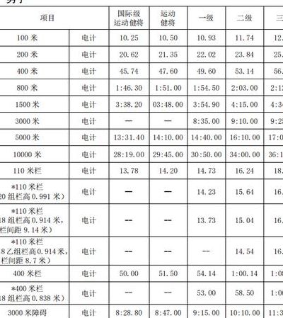 田径运动员（田径运动员技术等级标准）