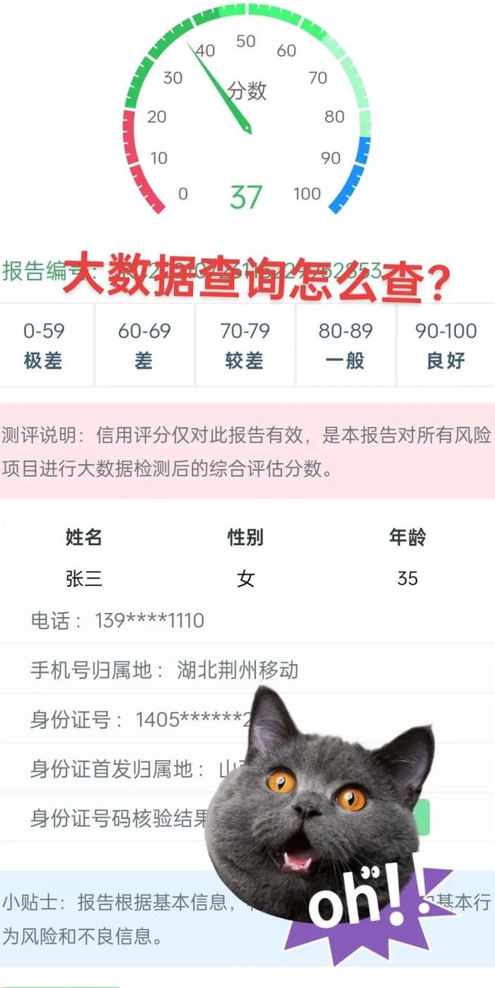 网上查个人信用报告（网上查个人信用报告怎么查）