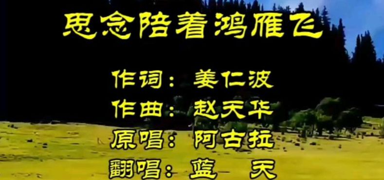 好听的翻唱歌曲（好听的翻唱歌曲视频）