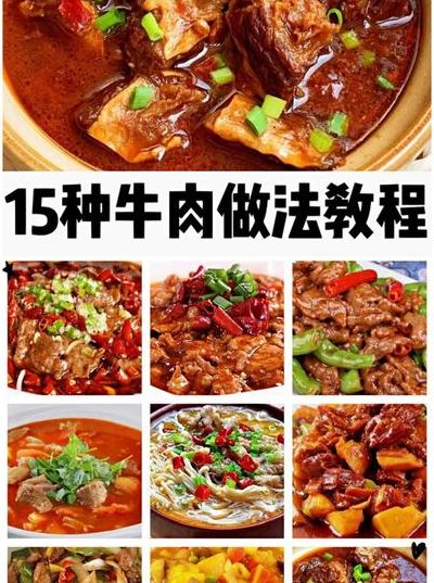 关于红烧牛肉的做法大全的信息