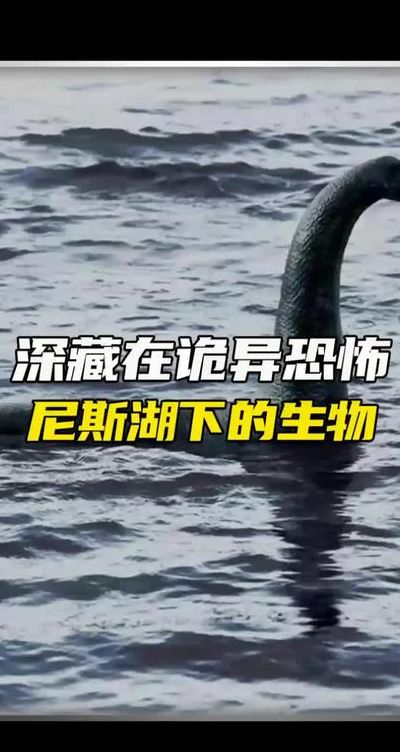 尼斯湖水怪可能真的存在（尼斯湖水怪可能真的存在吗）