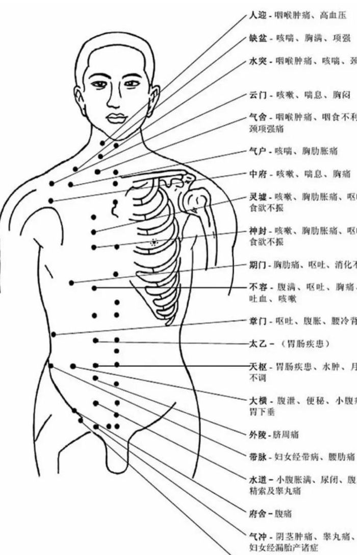 经络图谱（经络图表）