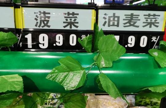 菠菜一斤价格比肉贵（菠菜一斤价格比肉贵多少）