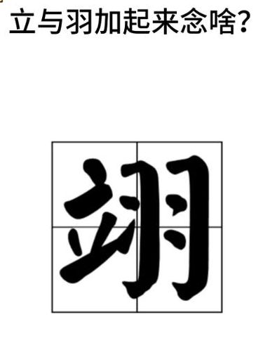 立羽什么字（立羽念啥字）