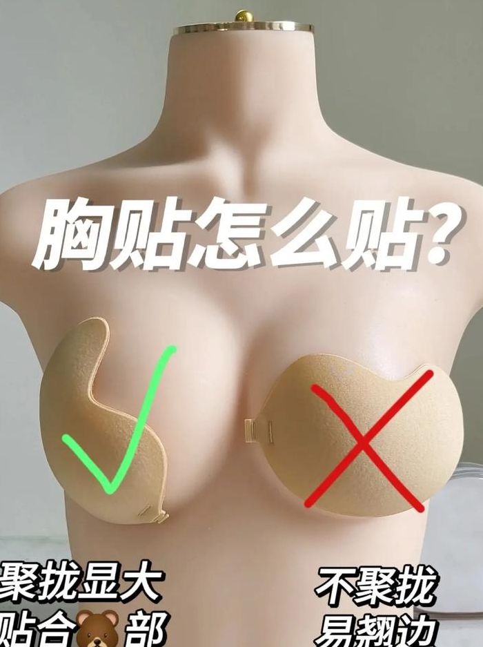 乳贴是什么（乳贴是什么）