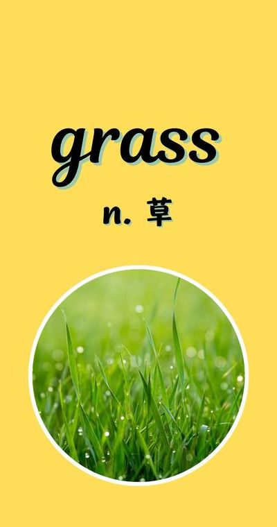 草英语怎么读（草英语怎么读grass）