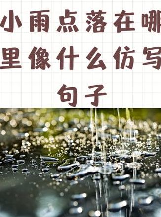 小雨点像什么又像什么（小雨点像什么又像什么比喻句）