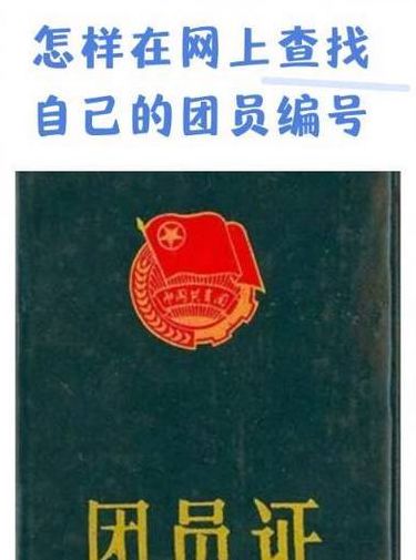 团员证编号哪里可以查（团员证编号哪里可以查看）