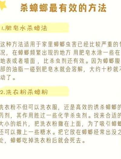 杀蟑螂最有效的方法（杀蟑螂最有效的方法洗衣粉糖）