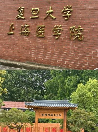 上海医学院有哪些（上海医学院有哪些学校）