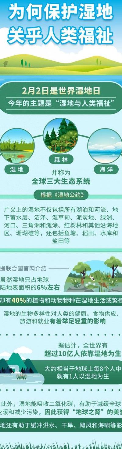 湿地又被称为什么（湿地被称为地球的什么?）