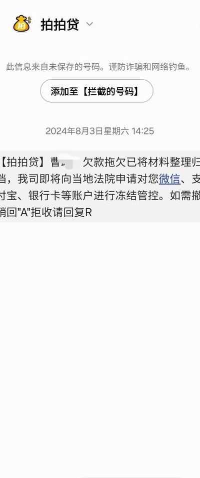 拍拍贷1万2不还钱经历（拍拍贷1000块钱不还会告你吗）