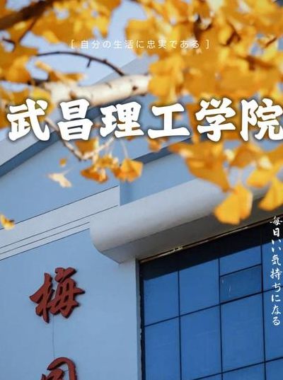 武昌理工学院是烂学校（武昌理工学院好不好 知乎）