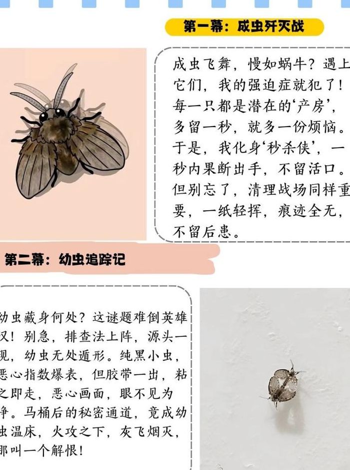 蠼螋怎么消灭（蠼螋怎么消灭干净）