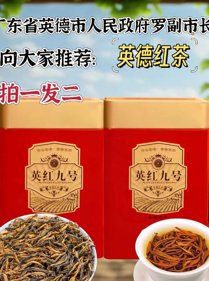 英红九号红茶什么档次（英红九号茶叶多少钱一盒）