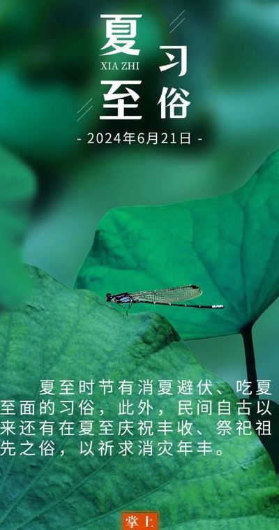 夏至是伏天的第一天吗（夏至是伏天的第一天吗?）