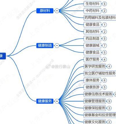 大健康产业项目（大健康产业项目分类）