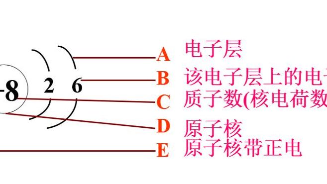 核电荷数等于什么（对一个原子来说其核电荷数等于什么）