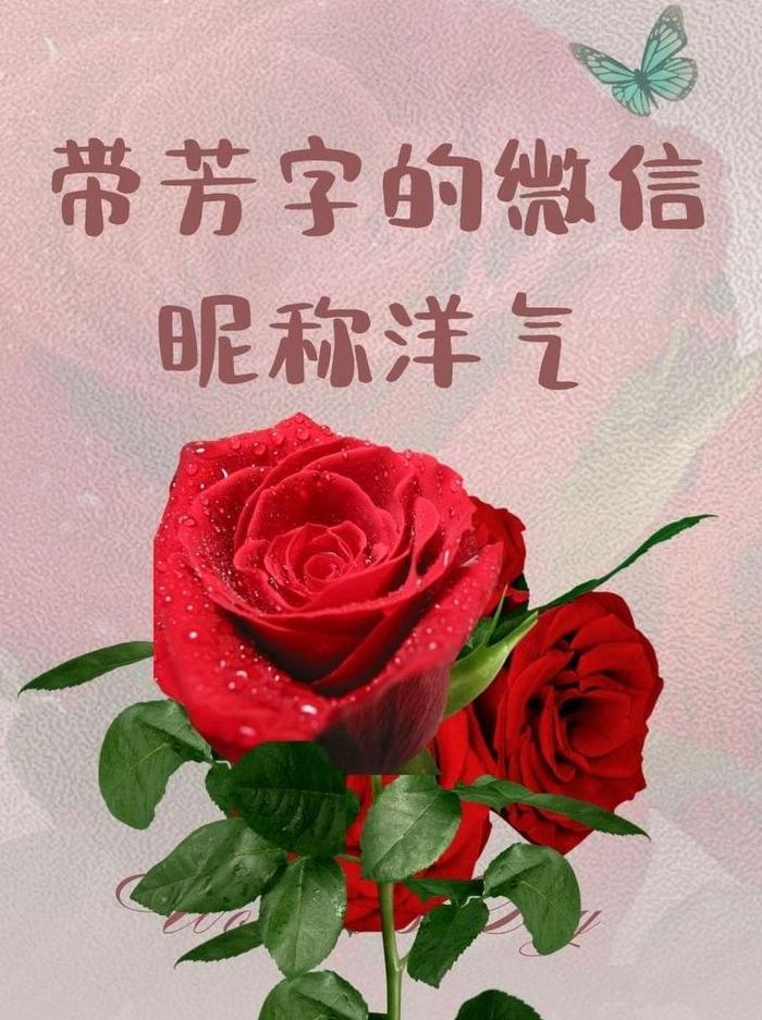 芳华绝代是什么意思（芳华绝代是形容谁的）