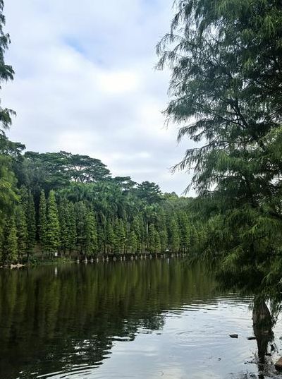 三水有什么好玩的地方（三水有什么好玩的地方适合一日游）