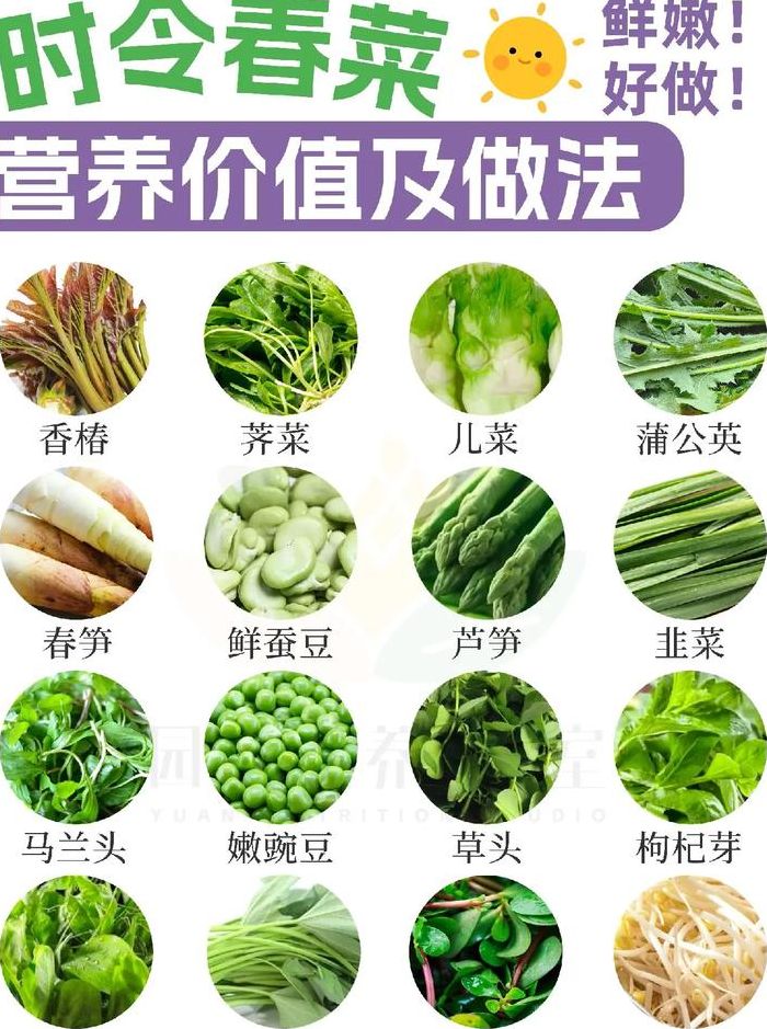 春季蔬菜品种大全（春季蔬菜有哪些图片）