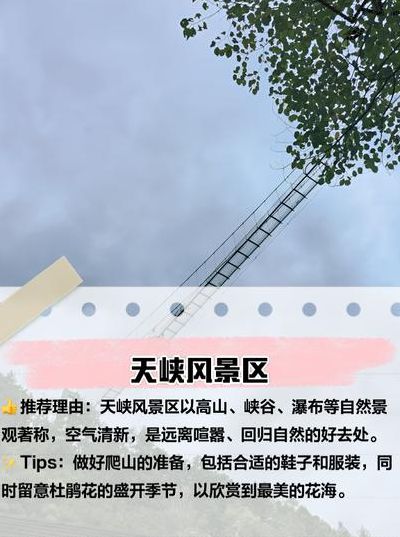 安徽安庆旅游景点（安徽安庆旅游景点攻略）