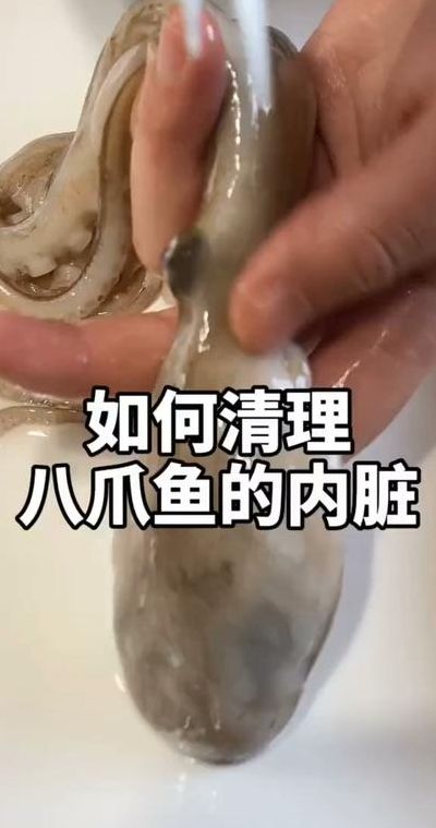 八爪鱼头部内脏能吃吗（八爪鱼头部内脏处理方法）