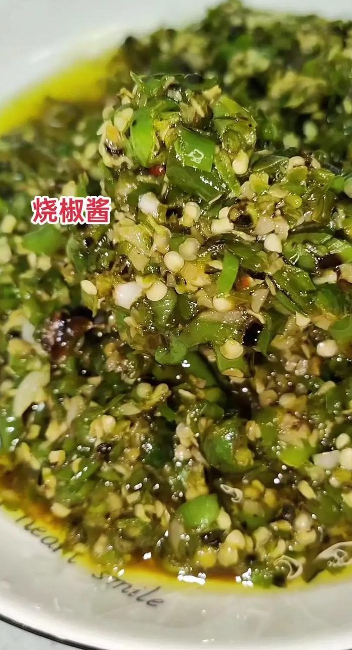 新鲜辣椒酱的做法大全（新鲜辣椒酱的做法大全家常视频）