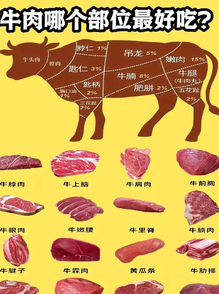 牛肉各部位名称图解（牛肉各部位名称图解大全）