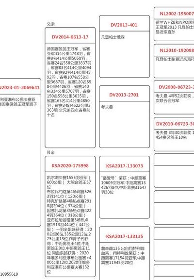 鸽环查询成绩查询（鸽环查询成绩查询2023一15一0517629）