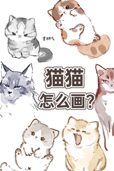 画猫的步骤（画猫的步骤怎么画）