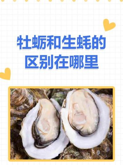 海蛎子和生蚝一样吗（海蛎子和生蚝是一个吗）