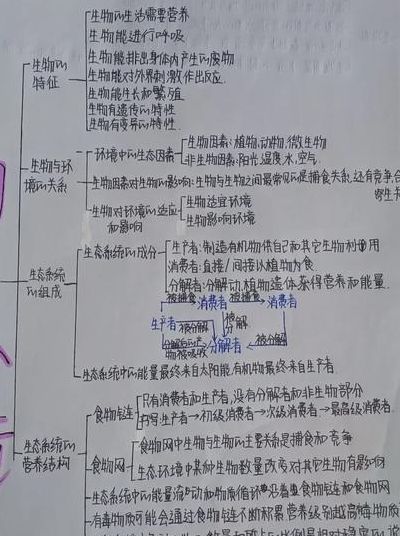 生物与环境的关系（生物与环境的关系包括哪些方面）