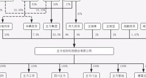 巨力集团杨氏家族成员（巨力集团杨氏家族成员都有谁）